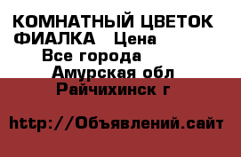 КОМНАТНЫЙ ЦВЕТОК -ФИАЛКА › Цена ­ 1 500 - Все города  »    . Амурская обл.,Райчихинск г.